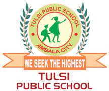 Tulsi Public School