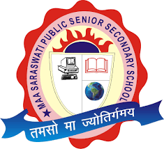 Maa Saraswati Public Senior Secondary School, Bahadrabad