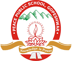PEACE PUBLIC SCHOOL
