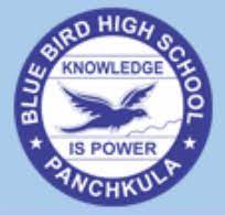 BLUE BIRD MODEL SCHOOL