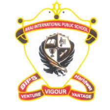 Braj International Public School, Berpur