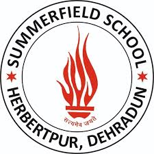 SUMMERFIELD SCHOOL