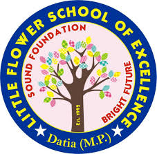 LITTLE FLOWER INTERNATIONAL SCHOOL