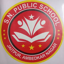  S. N. PUBLIC SCHOOL