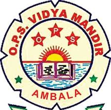 OPS VIDYA MANDIR