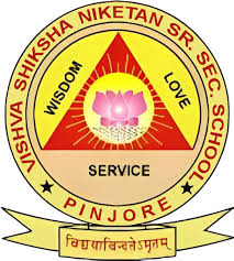 VISHVA SHIKSHA NIKETAN SR SEC SCHOOL