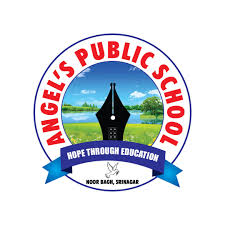  ANGELS PUBLIC MODEL SCHOOL