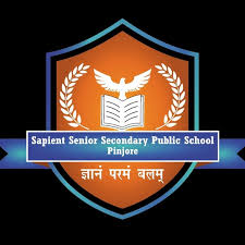 SAPIENT PUBLIC SCHOOL